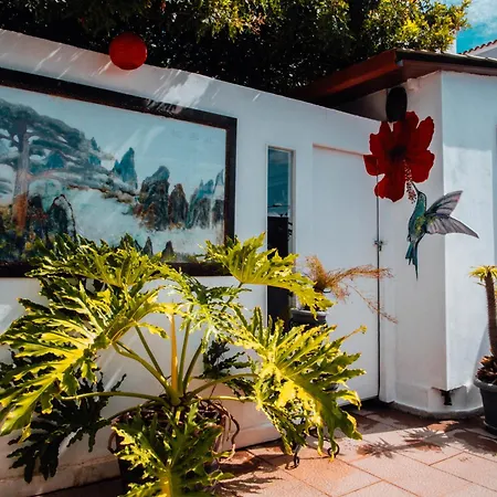 Villa The Essence Of Jakarta Arona