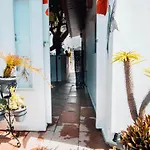Βίλα The Essence Of Jakarta Arona (Tenerife)