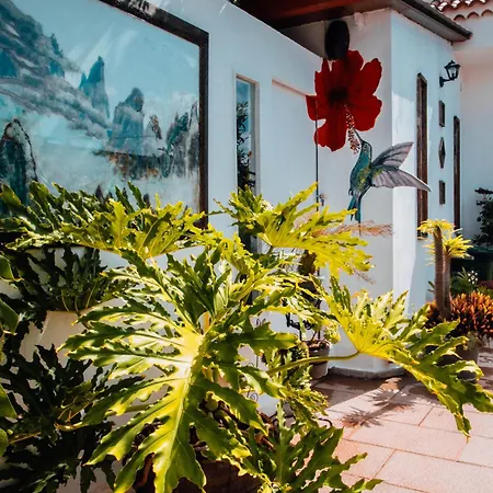 The Essence Of Jakarta Arona (Tenerife)