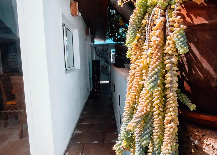 The Essence Of Jakarta Villa Arona (Tenerife)